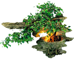 ��������� ���������� - ������������ ���������� �� �������������� �����