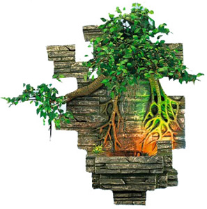 ��������� ���������� - ������������ ���������� �� �������������� �����