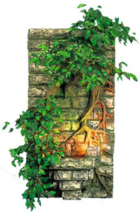 ��������� ���������� - ������������ ���������� �� �������������� �����