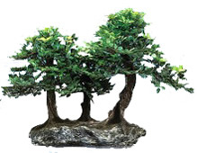 ������������ ���������� ���������� ������ - ������������ ���������� �� �������������� �����