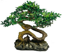 ������������ ���������� ���������� ������ - ������������ ���������� �� �������������� �����