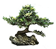 ������������ ���������� ���������� ������ - ������������ ���������� �� �������������� �����