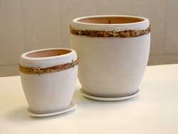 ������ ������ ������ ������������ �������� w 14 2��. - ��������� ������