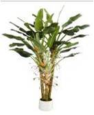 ����� �������� "������� �����" (33 �������, 17 ������) 2 ��. - �������