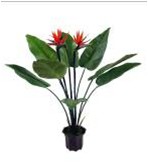 ����� �������� "������� �����" (8 �������, 3 ������) 4 ��. - �������