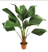 ������ "���������"  (12 �������) 12 ��. - �������