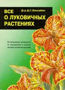 ��� � ���������� ��������� - �����