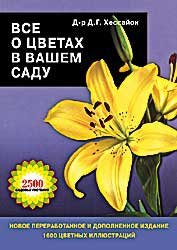 ��� � ������ � ����� ���� - �����