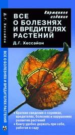 ��� � �������� � ���������� �������� - �����