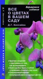 ��� � ������ � ����� ���� - �����